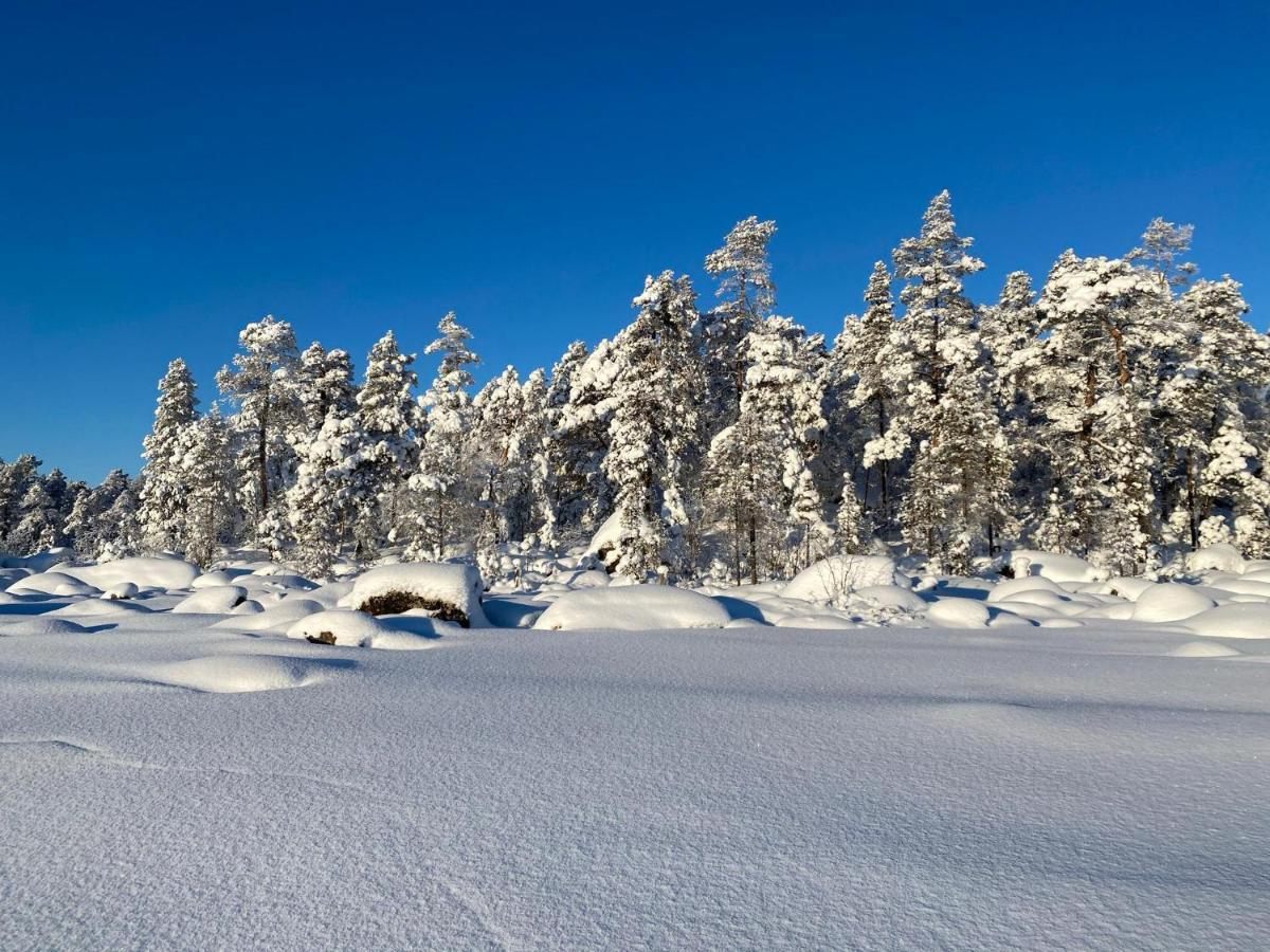 Norlight Cottages Ivalo - Tuli Luaran gambar